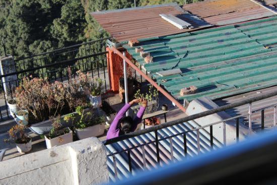 Hotel Brite Star ムスーリー エクステリア 写真